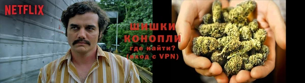 дживик Баксан