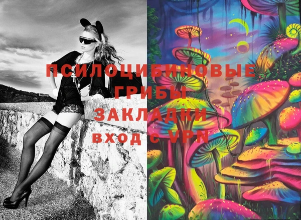 мяу мяу мука Осташков
